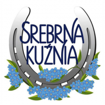 Logo Fundacji Srebrna Kuźnia - podkowa z niebieskimi kwiatami